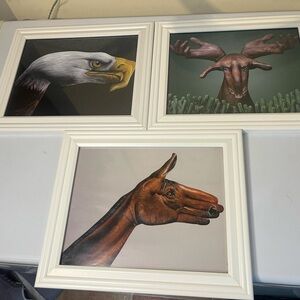 White Framed Animal Hand Art Set